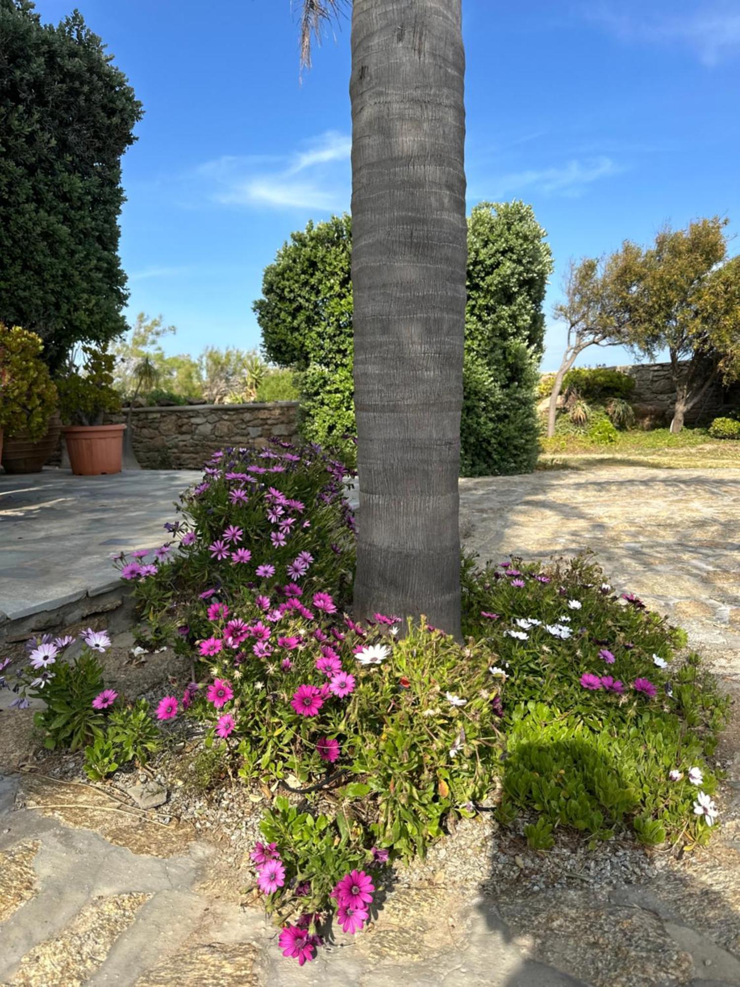 Divers House Agrari  Extérieur photo