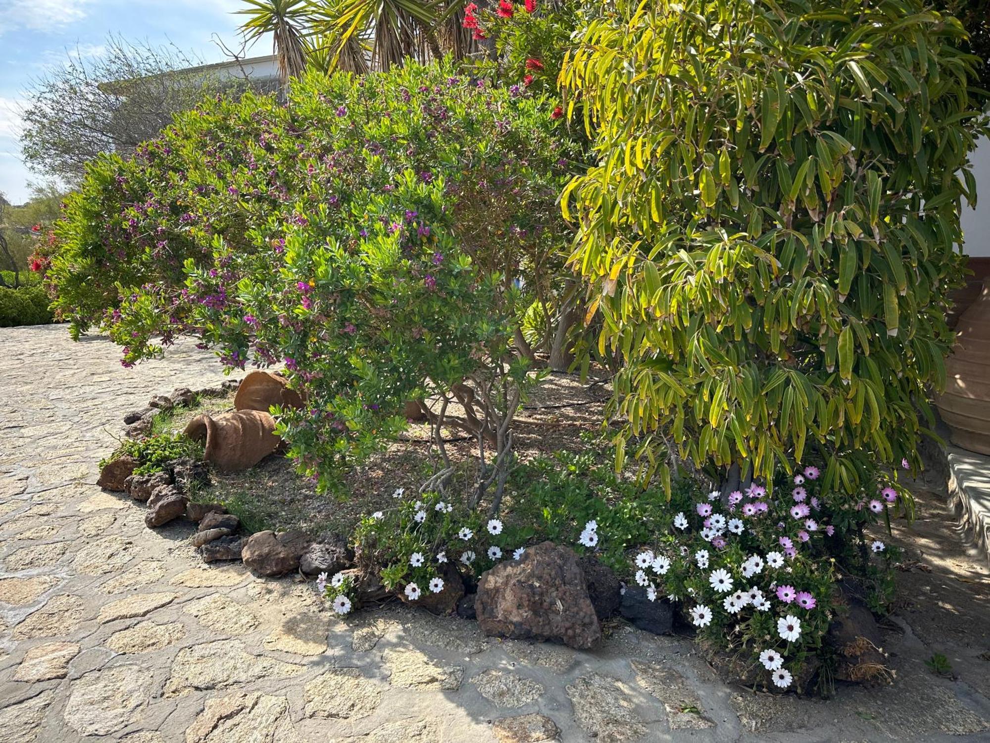 Divers House Agrari  Extérieur photo